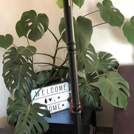 Egia Διαμέρισμα